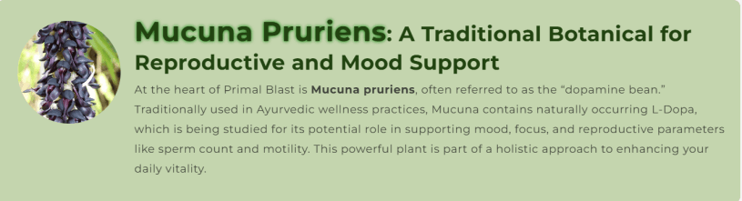 Primal Blast Ingredient 